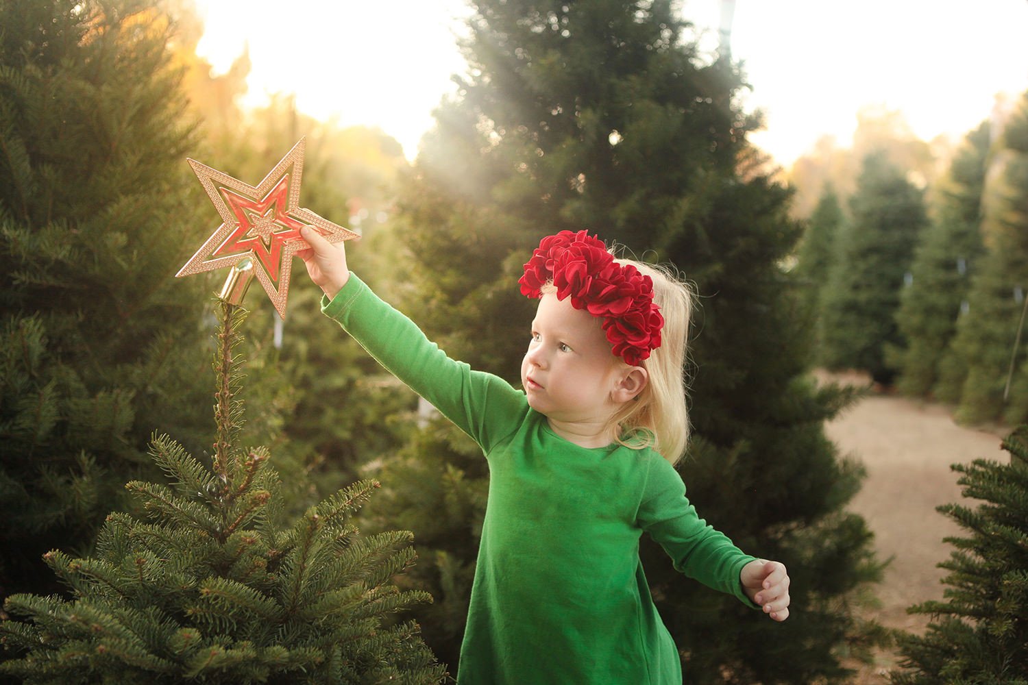 Looking for places to hide the elf on the shelf? These 24 ideas are just ADORABLE!