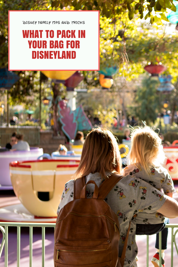 Trying to get your Disney Packing List together? Lifestyle blogger Lipgloss & Crayons shares her must haves for Disneyland trips!
