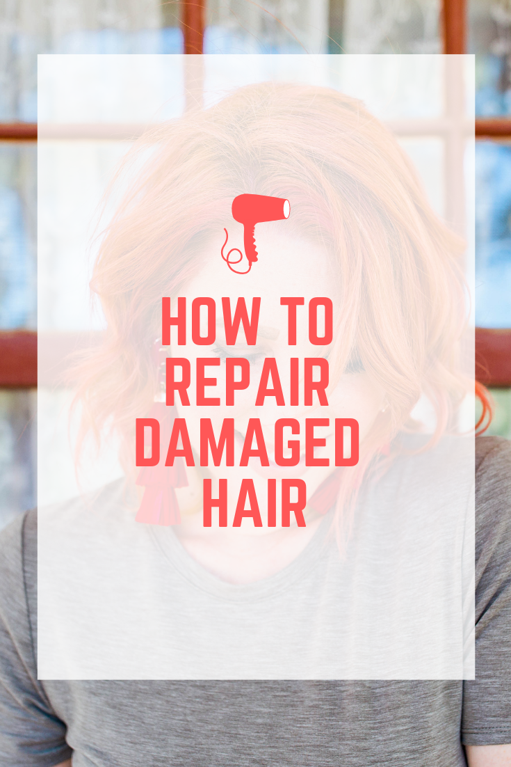 Want to know how to repair heat damaged hair? These tips will help a TON!