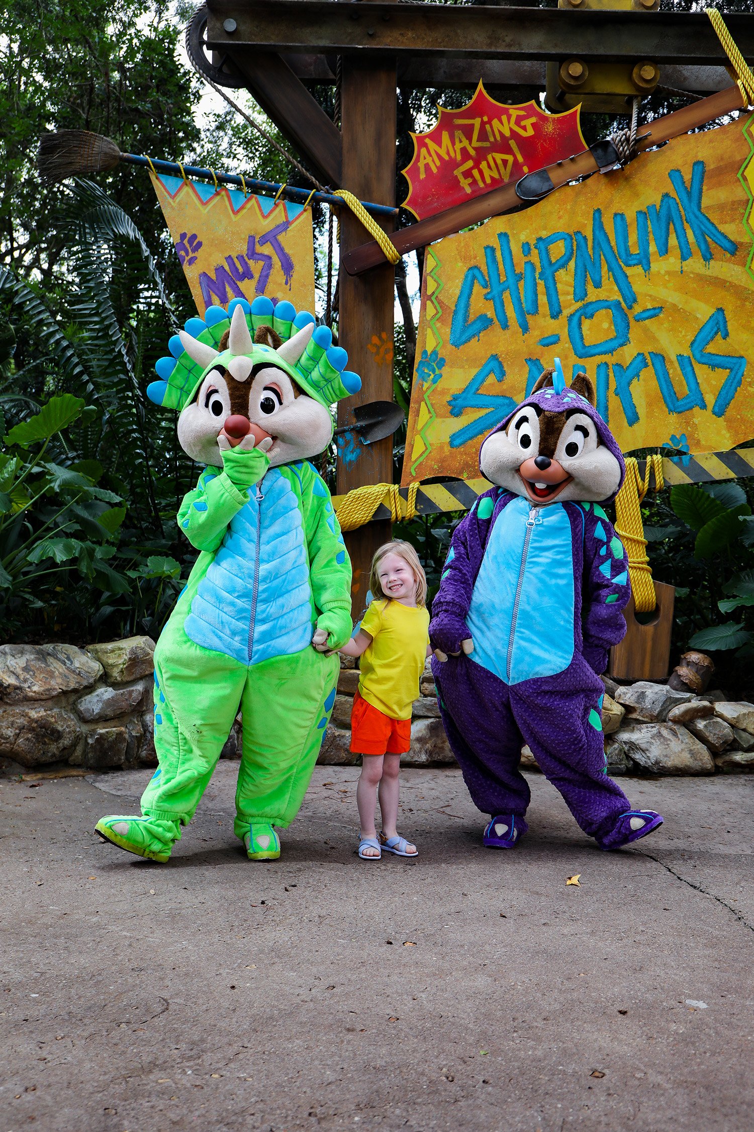 Who doesn't love the Chip and Dale Meet and Greet at Animal Kingdom?