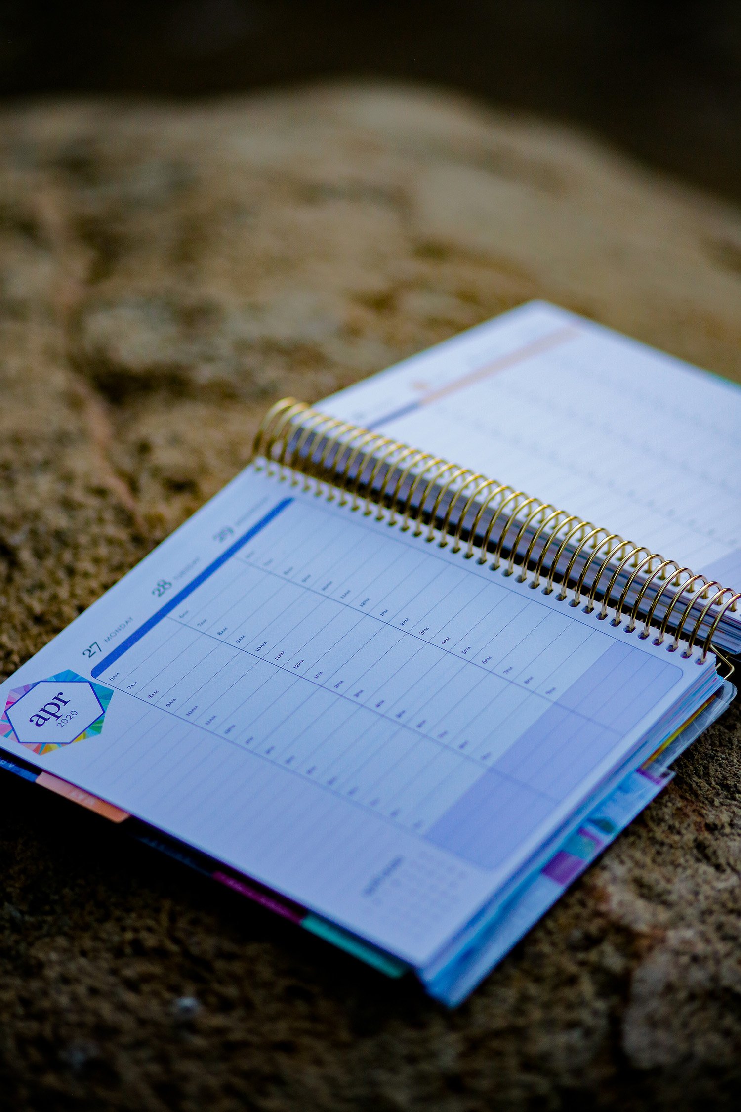 Erin Condren Life Planner Review: Getting organized for 2020 already? This will help a TON!