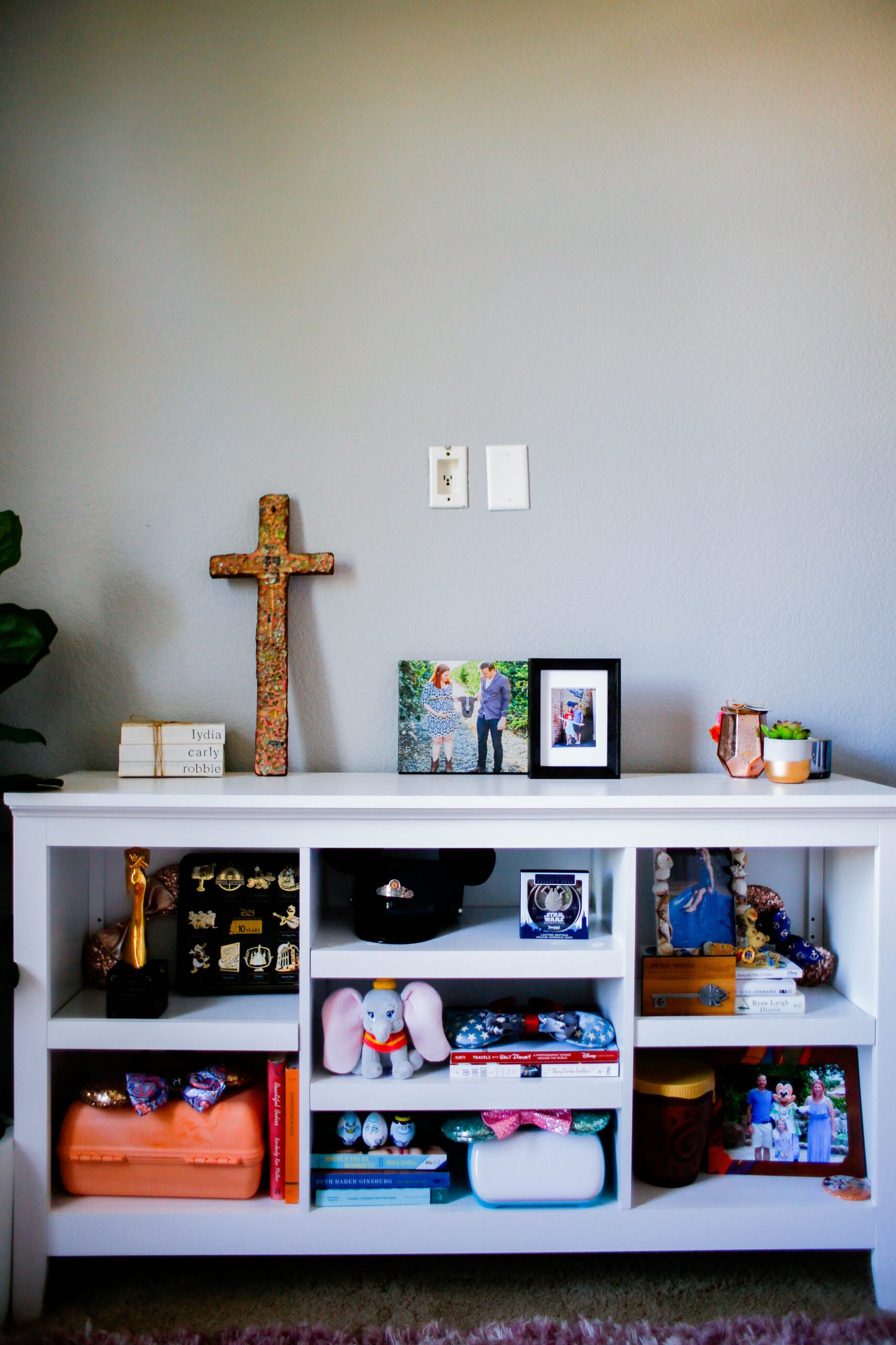 Organized Disney Bookshelves