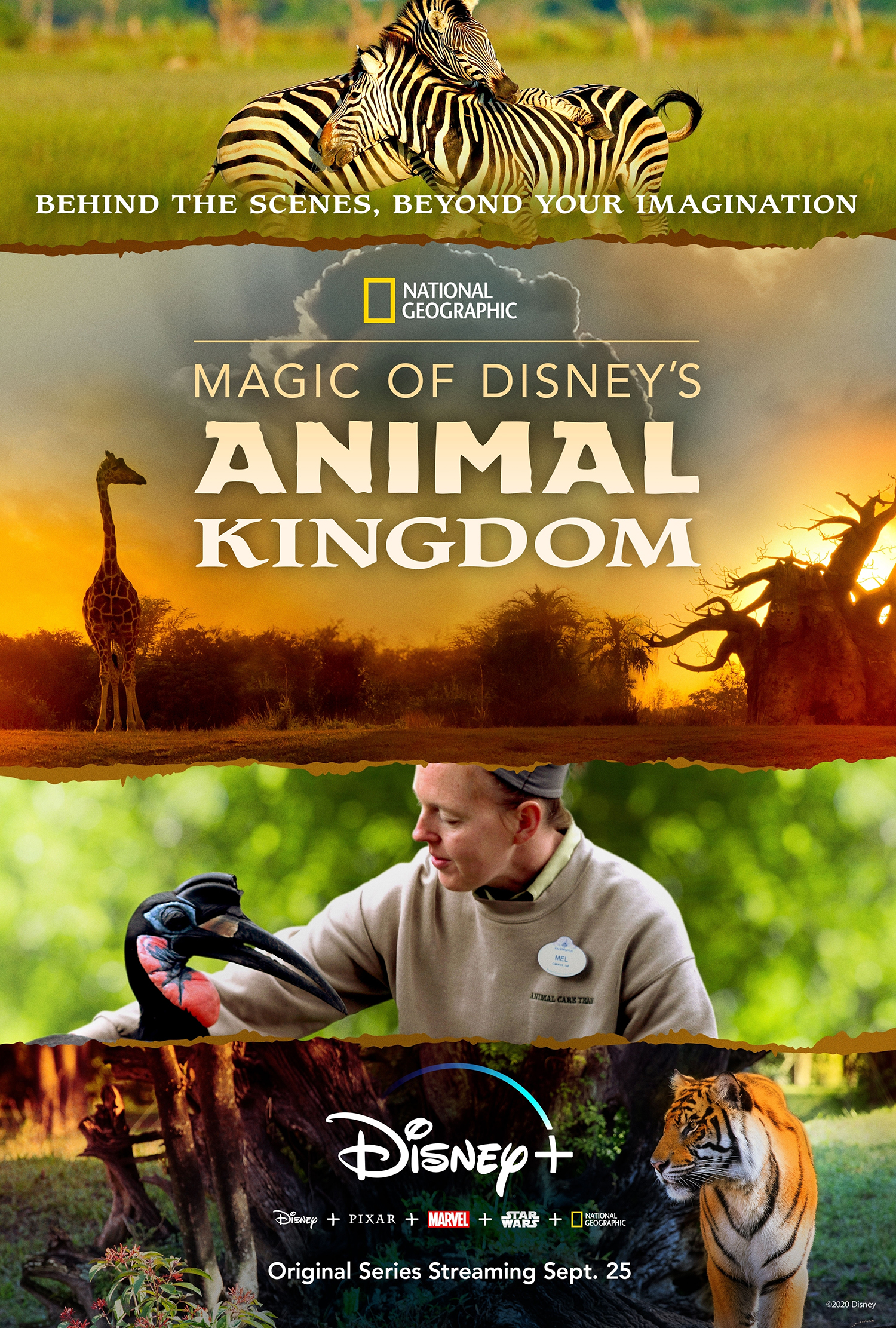 Have you been watching the trailers for the latest Disney Plus docuseries? This review will tell you if the new Magic of Disney’s Animal Kingdom is a must watch for kids!