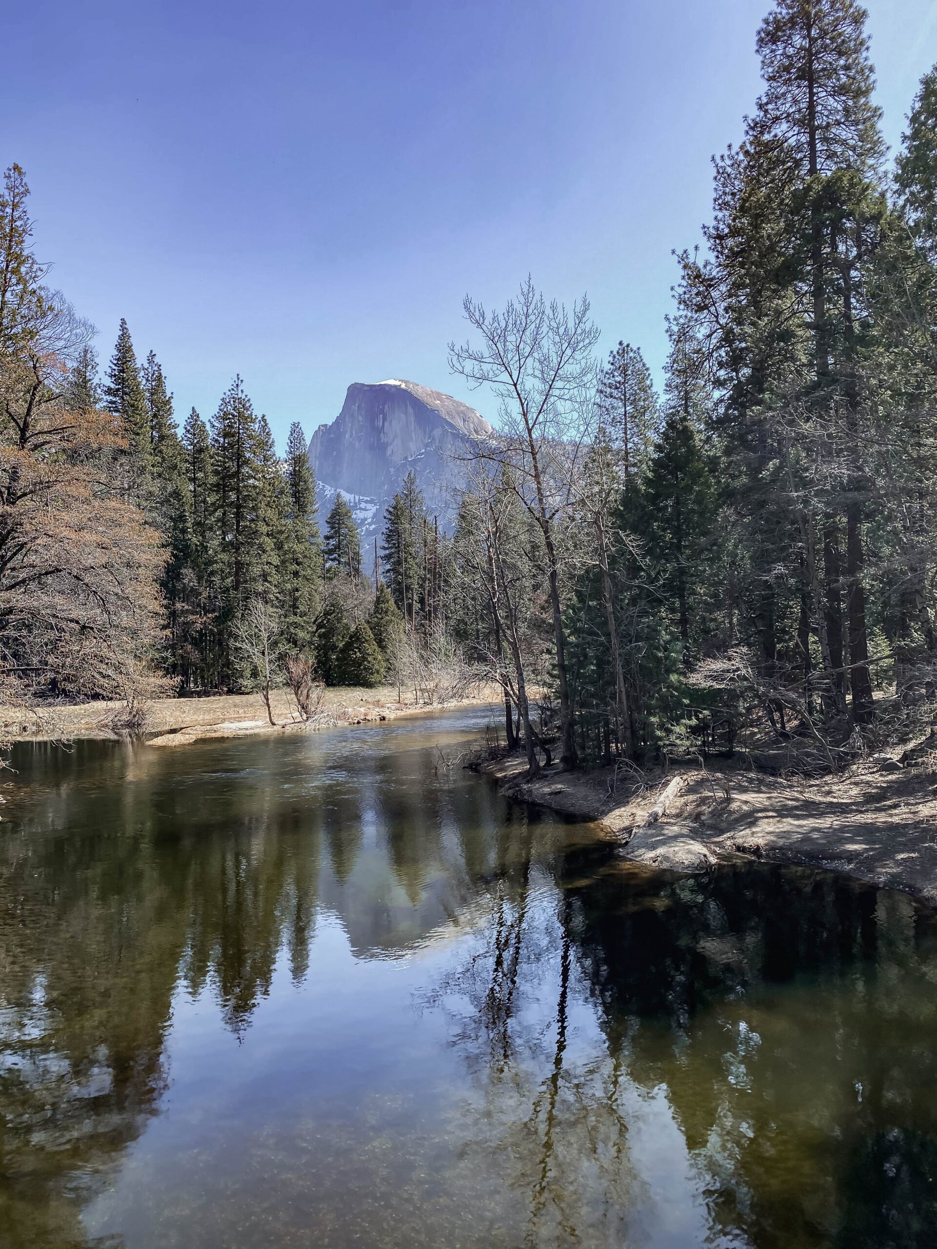 Visiting Bass Lake and Yosemite? This is a full family travel guide!