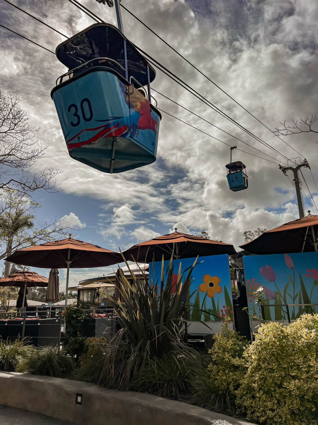 Visiting the San Diego Zoo? Don't miss the skyfari aerial tram!