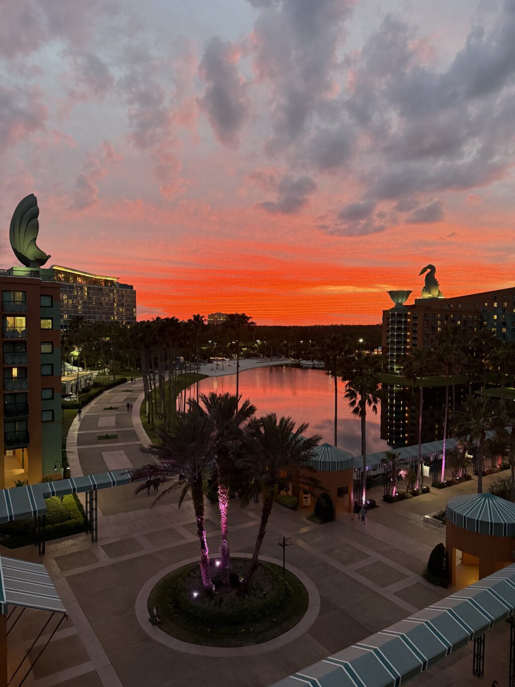 walt disney world hotel option: swan, dolphin and swan reserve