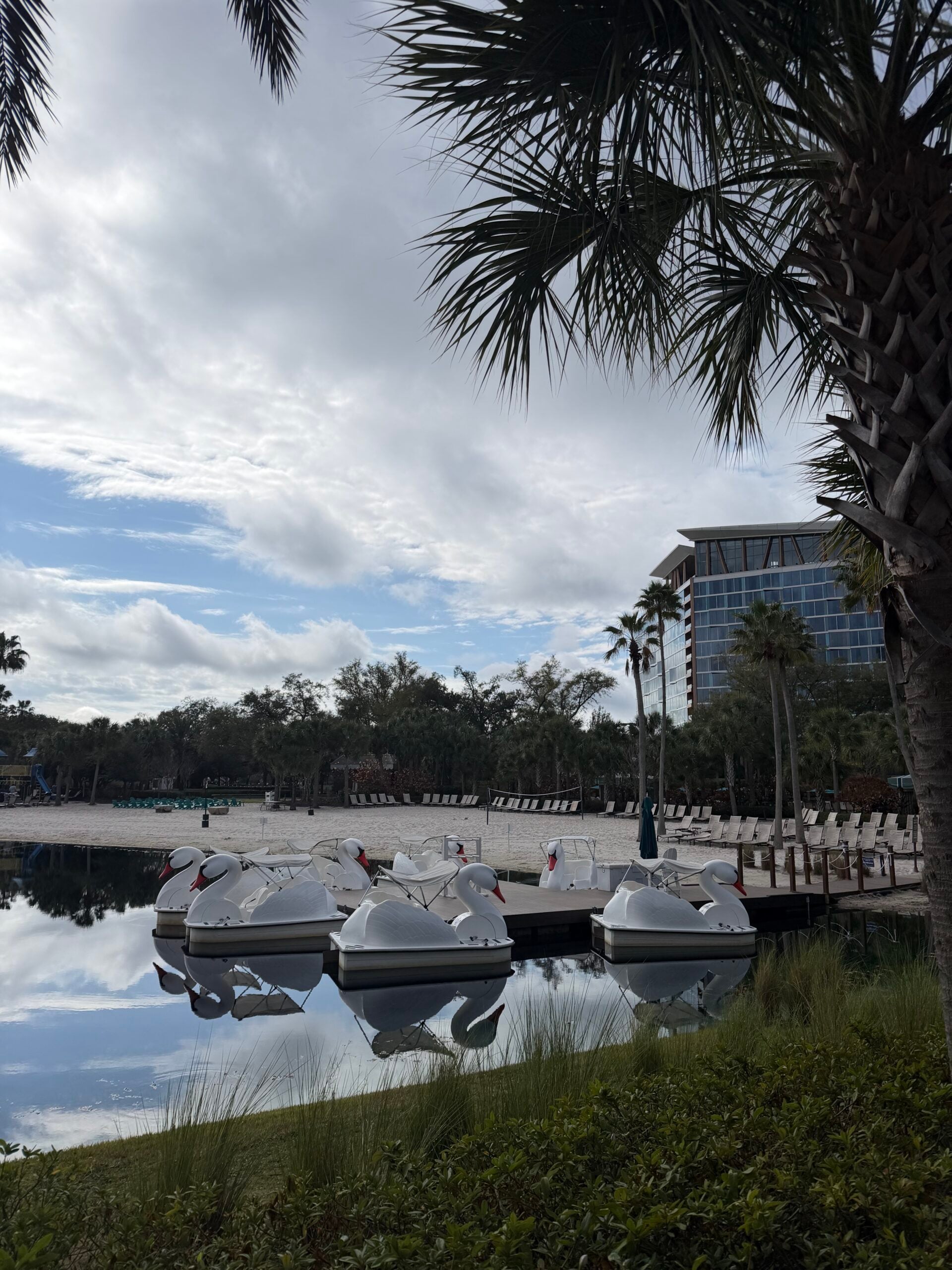 Walt Disney World Swan, Dolphin, and Swan Reserve: Which is Best?