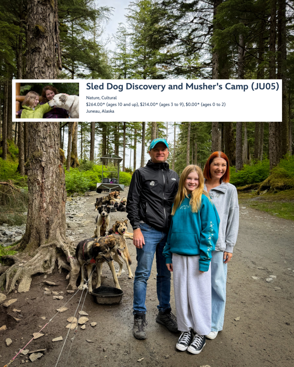juneau sled dog discovery excursion